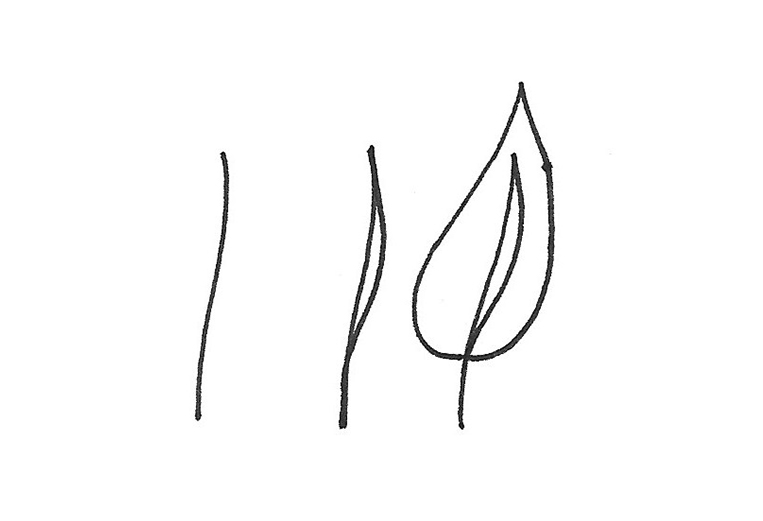 doodles floraux