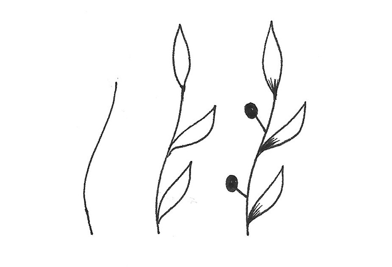 doodles floraux