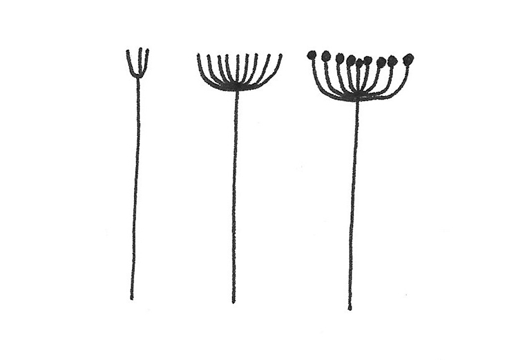 doodles floraux