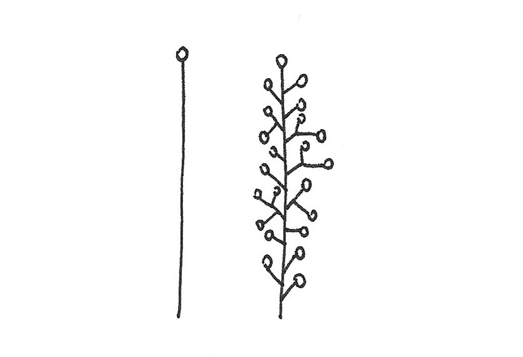doodles floraux