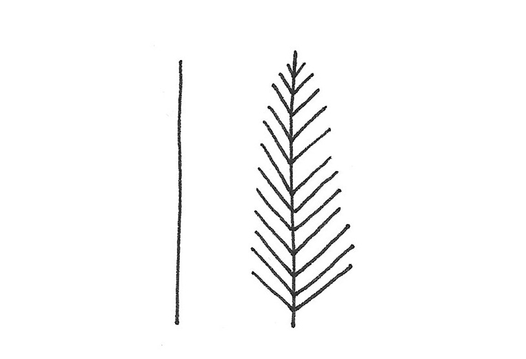 doodles floraux